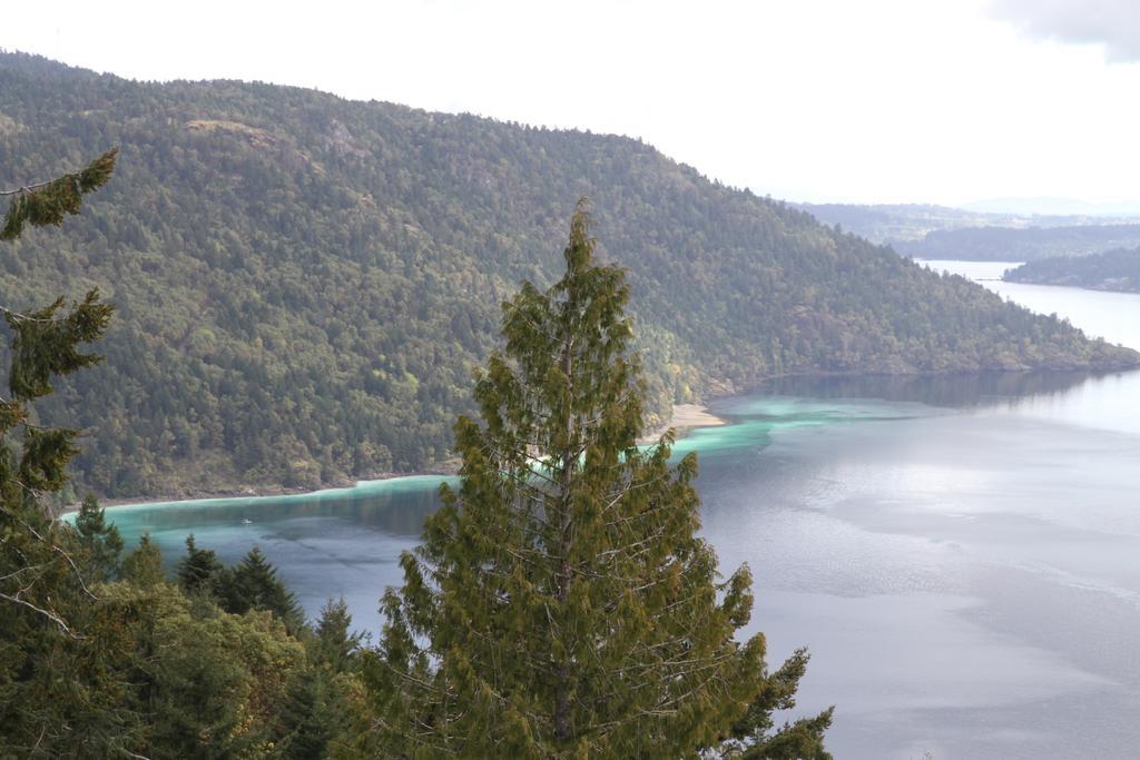Moon Water Lodge Malahat Værelse billede