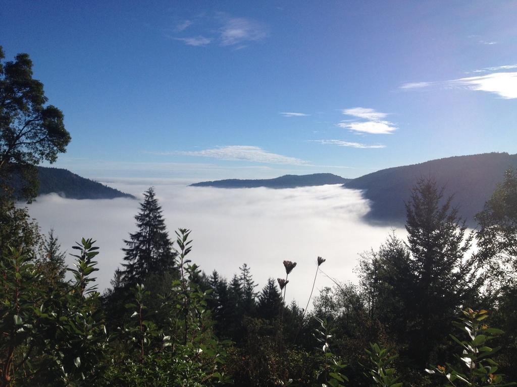 Moon Water Lodge Malahat Værelse billede